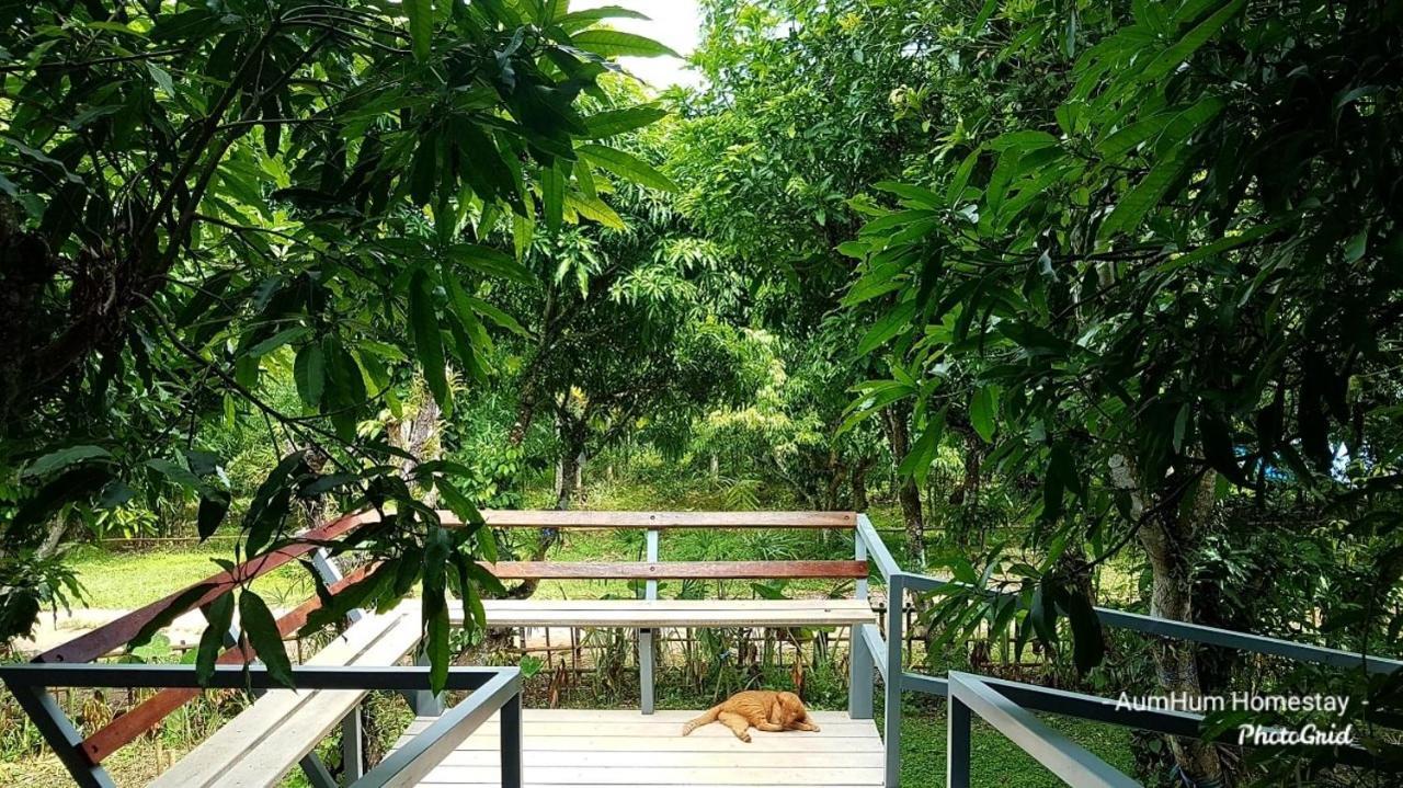 Aum Hum Homestay فانغ المظهر الخارجي الصورة