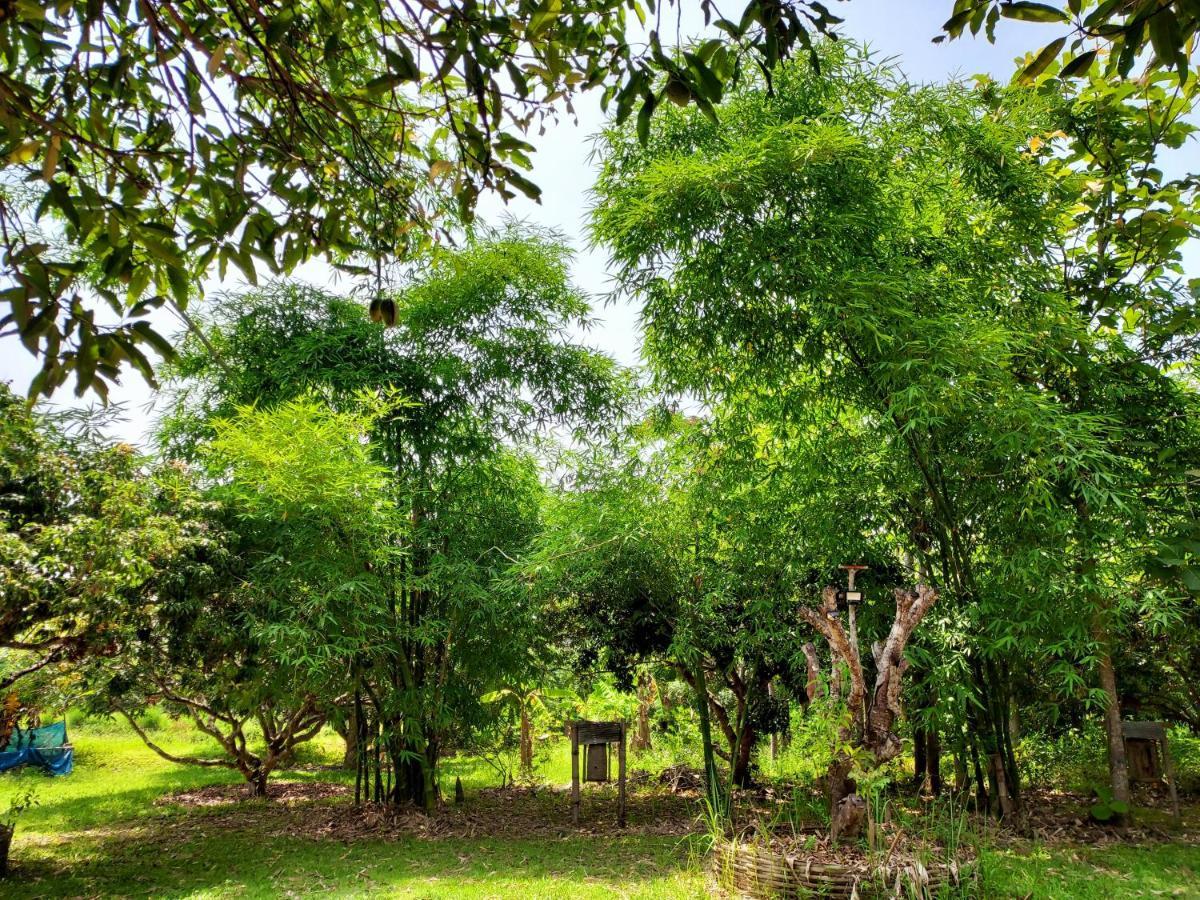 Aum Hum Homestay فانغ المظهر الخارجي الصورة