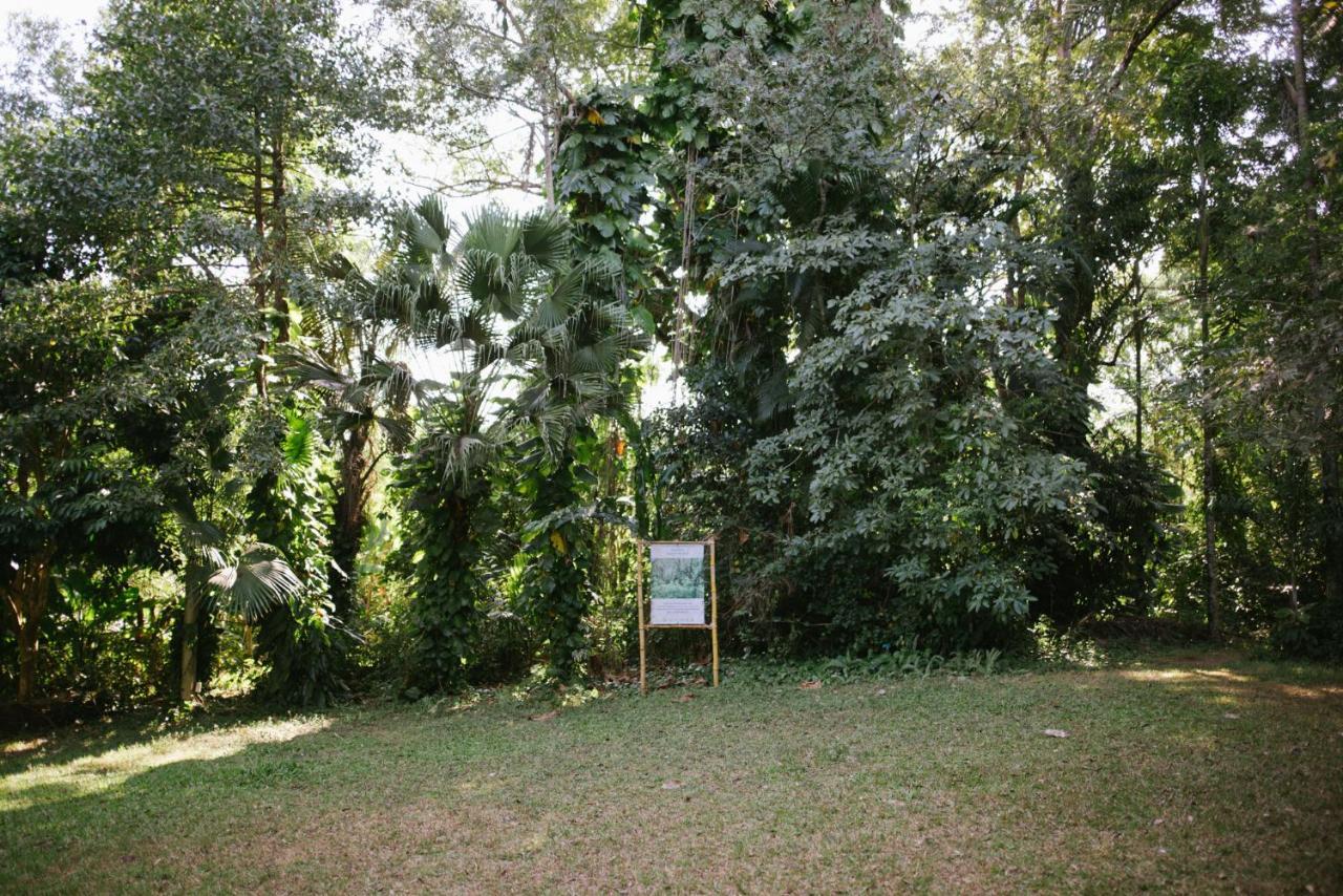 Aum Hum Homestay فانغ المظهر الخارجي الصورة