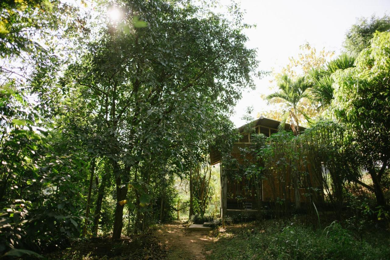 Aum Hum Homestay فانغ المظهر الخارجي الصورة