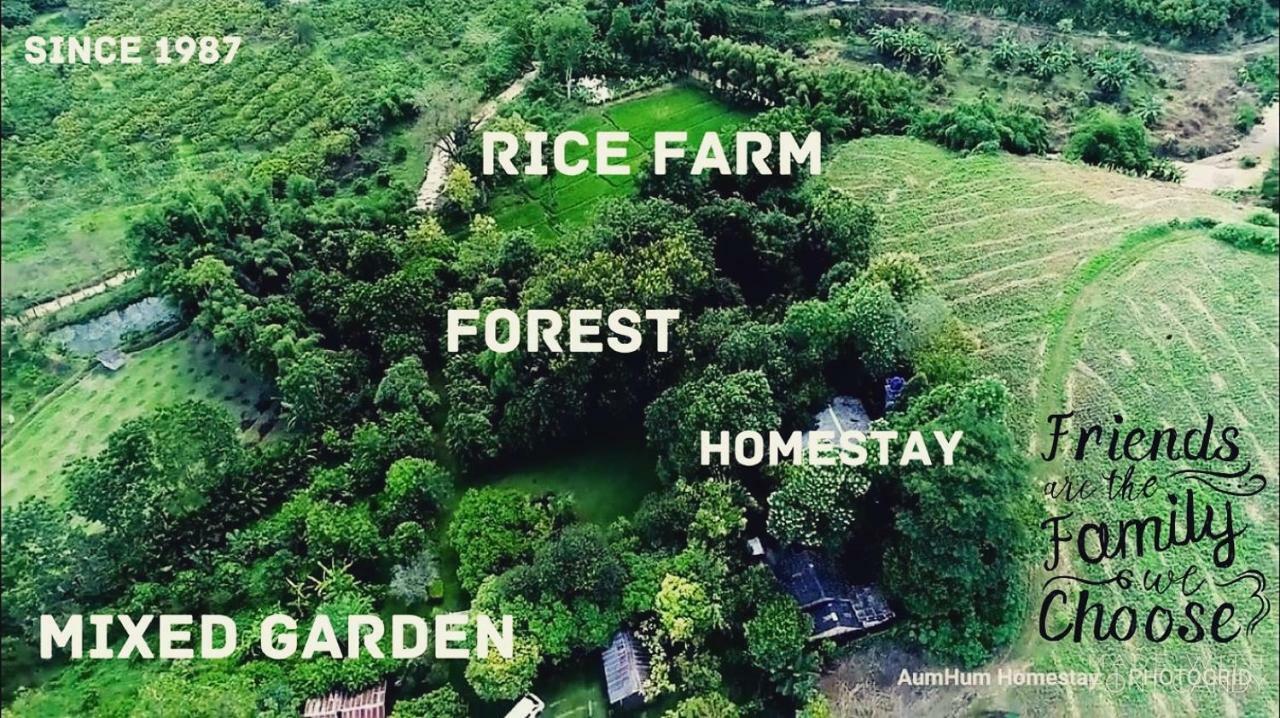 Aum Hum Homestay فانغ المظهر الخارجي الصورة