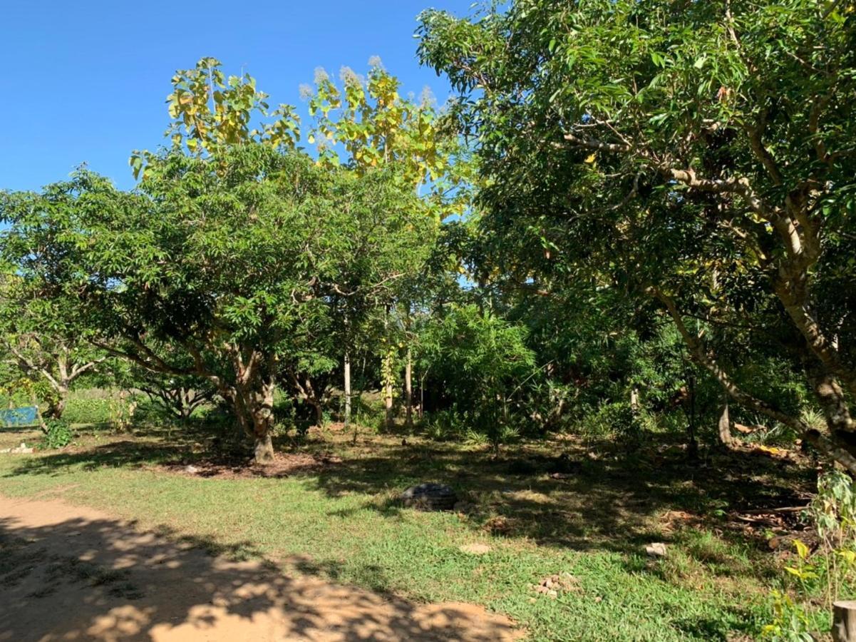 Aum Hum Homestay فانغ المظهر الخارجي الصورة